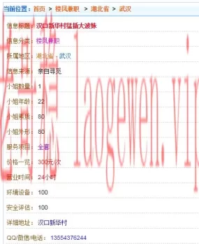 验证新华村猛插大波妹